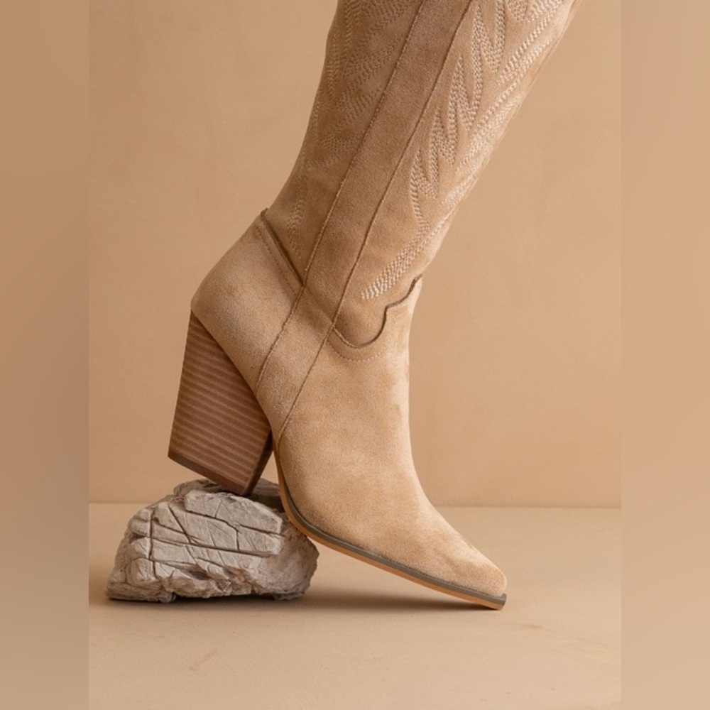 Tall Knee High Western Embroidered Pointed Toe Boots - Oasis Society - Picture 3 of 5